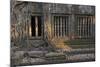 Trees Growing Through Building at Sunrise, Beng Mealea Temple, Near Angkor-Stephen Studd-Mounted Photographic Print