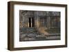 Trees Growing Through Building at Sunrise, Beng Mealea Temple, Near Angkor-Stephen Studd-Framed Photographic Print