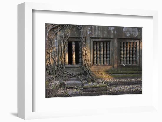 Trees Growing Through Building at Sunrise, Beng Mealea Temple, Near Angkor-Stephen Studd-Framed Photographic Print