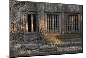 Trees Growing Through Building at Sunrise, Beng Mealea Temple, Near Angkor-Stephen Studd-Mounted Photographic Print