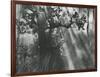 Trees, Hawaii, 1978-Brett Weston-Framed Photographic Print