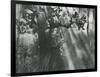 Trees, Hawaii, 1978-Brett Weston-Framed Photographic Print