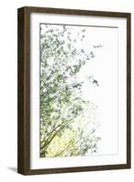 Trees I-Karyn Millet-Framed Photographic Print