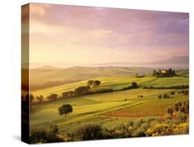 Trees in a Field at Sunrise, Villa Belvedere, Val D'Orcia, Siena Province, Tuscany, Italy-null-Stretched Canvas