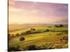 Trees in a Field at Sunrise, Villa Belvedere, Val D'Orcia, Siena Province, Tuscany, Italy-null-Stretched Canvas