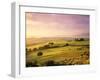 Trees in a Field at Sunrise, Villa Belvedere, Val D'Orcia, Siena Province, Tuscany, Italy-null-Framed Photographic Print
