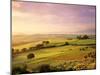 Trees in a Field at Sunrise, Villa Belvedere, Val D'Orcia, Siena Province, Tuscany, Italy-null-Mounted Photographic Print