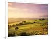 Trees in a Field at Sunrise, Villa Belvedere, Val D'Orcia, Siena Province, Tuscany, Italy-null-Framed Photographic Print