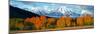 Trees in a Forest with Snowcapped Mountain Range in the Background, Teton Range, Oxbow Bend-null-Mounted Premium Photographic Print