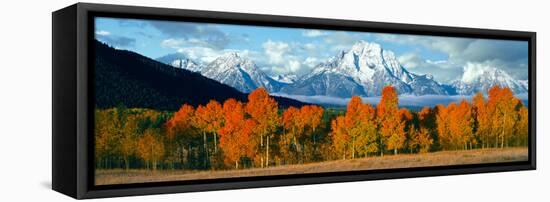 Trees in a Forest with Snowcapped Mountain Range in the Background, Teton Range, Oxbow Bend-null-Framed Stretched Canvas