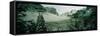 Trees in a forest, Yosemite National Park, Mariposa County, California, USA-Panoramic Images-Framed Stretched Canvas