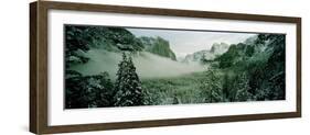 Trees in a forest, Yosemite National Park, Mariposa County, California, USA-Panoramic Images-Framed Photographic Print