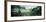 Trees in a forest, Yosemite National Park, Mariposa County, California, USA-Panoramic Images-Framed Photographic Print