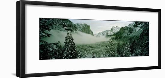 Trees in a forest, Yosemite National Park, Mariposa County, California, USA-Panoramic Images-Framed Photographic Print