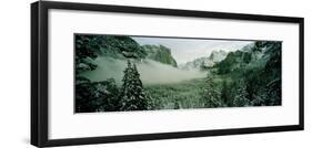 Trees in a forest, Yosemite National Park, Mariposa County, California, USA-Panoramic Images-Framed Photographic Print