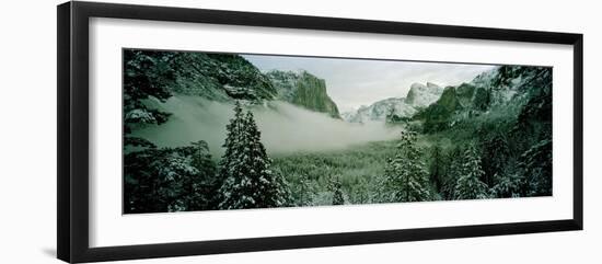 Trees in a forest, Yosemite National Park, Mariposa County, California, USA-Panoramic Images-Framed Photographic Print