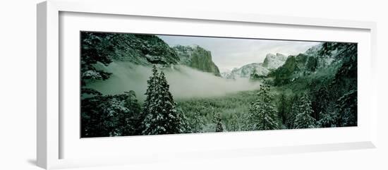 Trees in a forest, Yosemite National Park, Mariposa County, California, USA-Panoramic Images-Framed Photographic Print