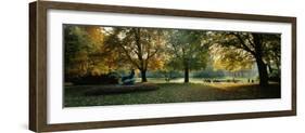 Trees in a Formal Garden, Le Jardin Du Luxembourg, Paris, France-null-Framed Photographic Print