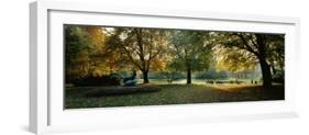 Trees in a Formal Garden, Le Jardin Du Luxembourg, Paris, France-null-Framed Photographic Print