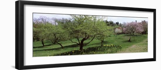 Trees in a Garden, Ellwanger Garden, Rochester, Monroe County, New York State, USA-null-Framed Premium Photographic Print