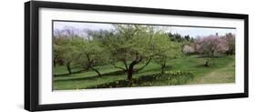 Trees in a Garden, Ellwanger Garden, Rochester, Monroe County, New York State, USA-null-Framed Premium Photographic Print