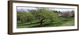 Trees in a Garden, Ellwanger Garden, Rochester, Monroe County, New York State, USA-null-Framed Photographic Print