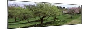 Trees in a Garden, Ellwanger Garden, Rochester, Monroe County, New York State, USA-null-Mounted Photographic Print