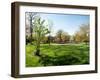 Trees in a Garden, Sherwood Gardens, Baltimore, Maryland, USA-null-Framed Photographic Print