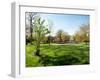 Trees in a Garden, Sherwood Gardens, Baltimore, Maryland, USA-null-Framed Photographic Print