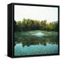 Trees in a Golf Course, Congressional Country Club, 11th Gold Nine, Potomac, Maryland, USA-null-Framed Stretched Canvas