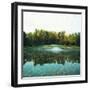 Trees in a Golf Course, Congressional Country Club, 11th Gold Nine, Potomac, Maryland, USA-null-Framed Premium Photographic Print