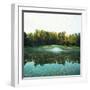 Trees in a Golf Course, Congressional Country Club, 11th Gold Nine, Potomac, Maryland, USA-null-Framed Premium Photographic Print