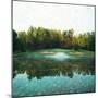 Trees in a Golf Course, Congressional Country Club, 11th Gold Nine, Potomac, Maryland, USA-null-Mounted Premium Photographic Print