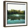 Trees in a Golf Course, Congressional Country Club, 11th Gold Nine, Potomac, Maryland, USA-null-Framed Photographic Print