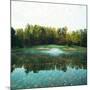 Trees in a Golf Course, Congressional Country Club, 11th Gold Nine, Potomac, Maryland, USA-null-Mounted Photographic Print