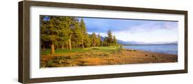 Trees in a Golf Course, Edgewood Tahoe Golf Course, Stateline, Nevada, USA-null-Framed Photographic Print