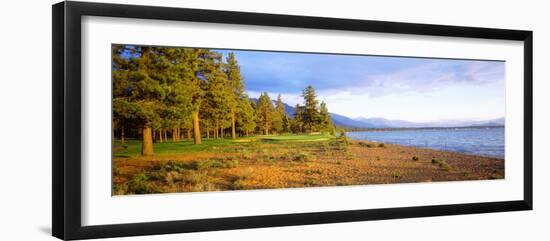 Trees in a Golf Course, Edgewood Tahoe Golf Course, Stateline, Nevada, USA-null-Framed Photographic Print