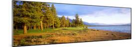 Trees in a Golf Course, Edgewood Tahoe Golf Course, Stateline, Nevada, USA-null-Mounted Photographic Print