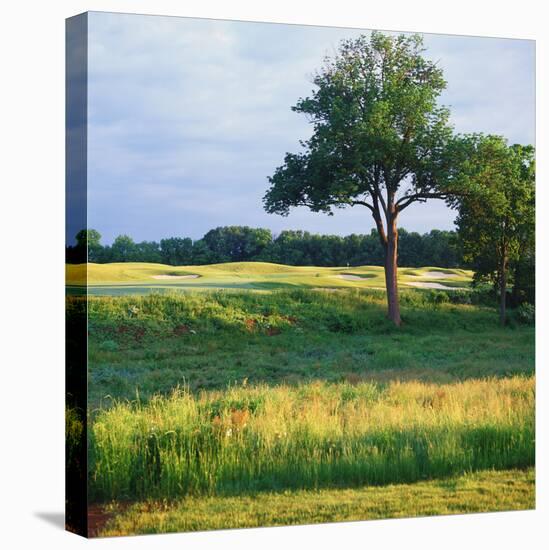 Trees in a Golf Course, Heron Glen Golf Club, Ringoes, New Jersey, USA-null-Stretched Canvas