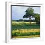 Trees in a Golf Course, Heron Glen Golf Club, Ringoes, New Jersey, USA-null-Framed Photographic Print