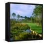 Trees in a Golf Course, Kilmarlic Golf Club, Powells Point, Currituck County, North Carolina, USA-null-Framed Stretched Canvas