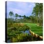 Trees in a Golf Course, Kilmarlic Golf Club, Powells Point, Currituck County, North Carolina, USA-null-Stretched Canvas