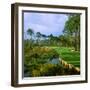 Trees in a Golf Course, Kilmarlic Golf Club, Powells Point, Currituck County, North Carolina, USA-null-Framed Photographic Print