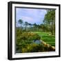 Trees in a Golf Course, Kilmarlic Golf Club, Powells Point, Currituck County, North Carolina, USA-null-Framed Photographic Print