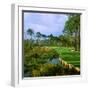 Trees in a Golf Course, Kilmarlic Golf Club, Powells Point, Currituck County, North Carolina, USA-null-Framed Photographic Print