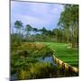 Trees in a Golf Course, Kilmarlic Golf Club, Powells Point, Currituck County, North Carolina, USA-null-Mounted Photographic Print