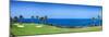 Trees in a Golf Course, Kona Country Club Ocean Course, Kailua Kona, Hawaii-null-Mounted Premium Photographic Print