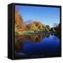 Trees in a Golf Course, Patterson Club, Fairfield, Connecticut, USA-null-Framed Stretched Canvas