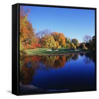 Trees in a Golf Course, Patterson Club, Fairfield, Connecticut, USA-null-Framed Stretched Canvas