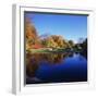 Trees in a Golf Course, Patterson Club, Fairfield, Connecticut, USA-null-Framed Photographic Print